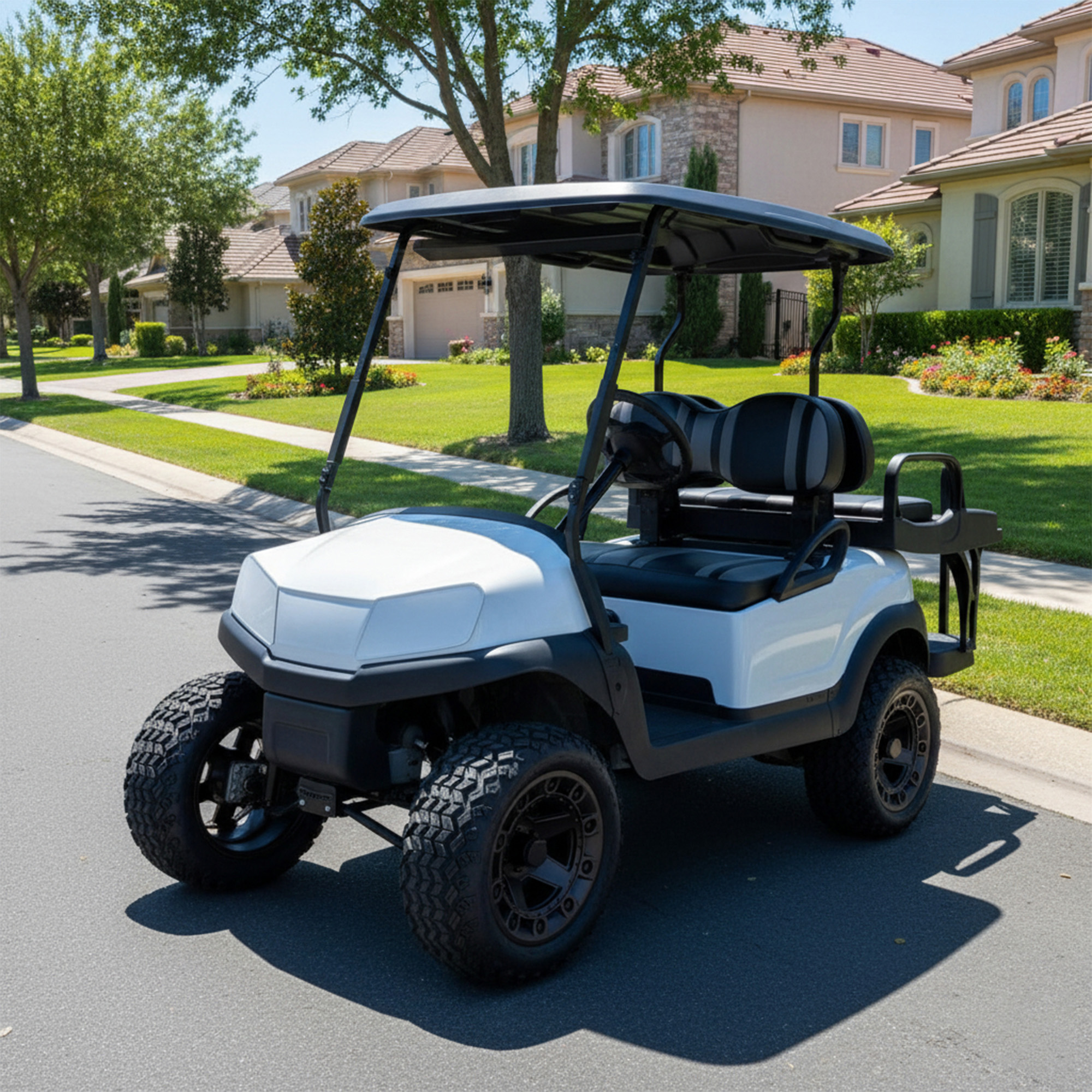 Buggies Unlimited - item 05-286-WH05