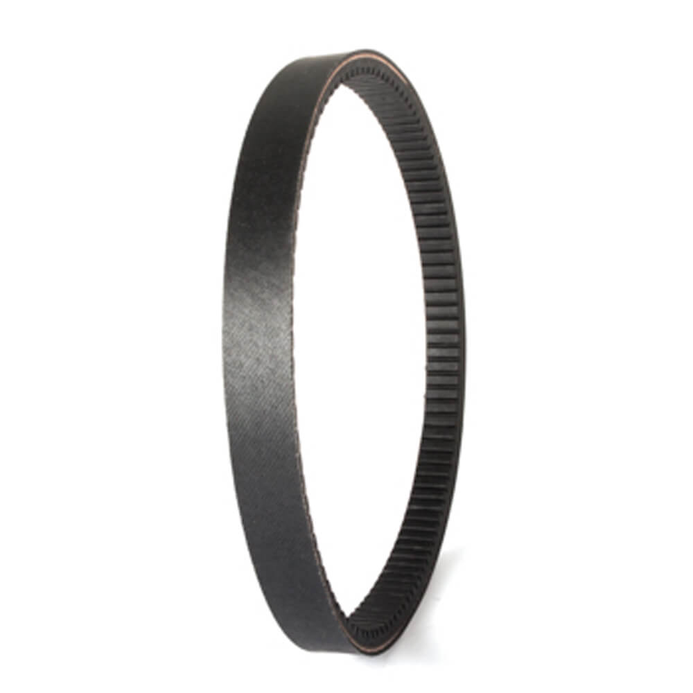 Buggies Unlimited - item 10975