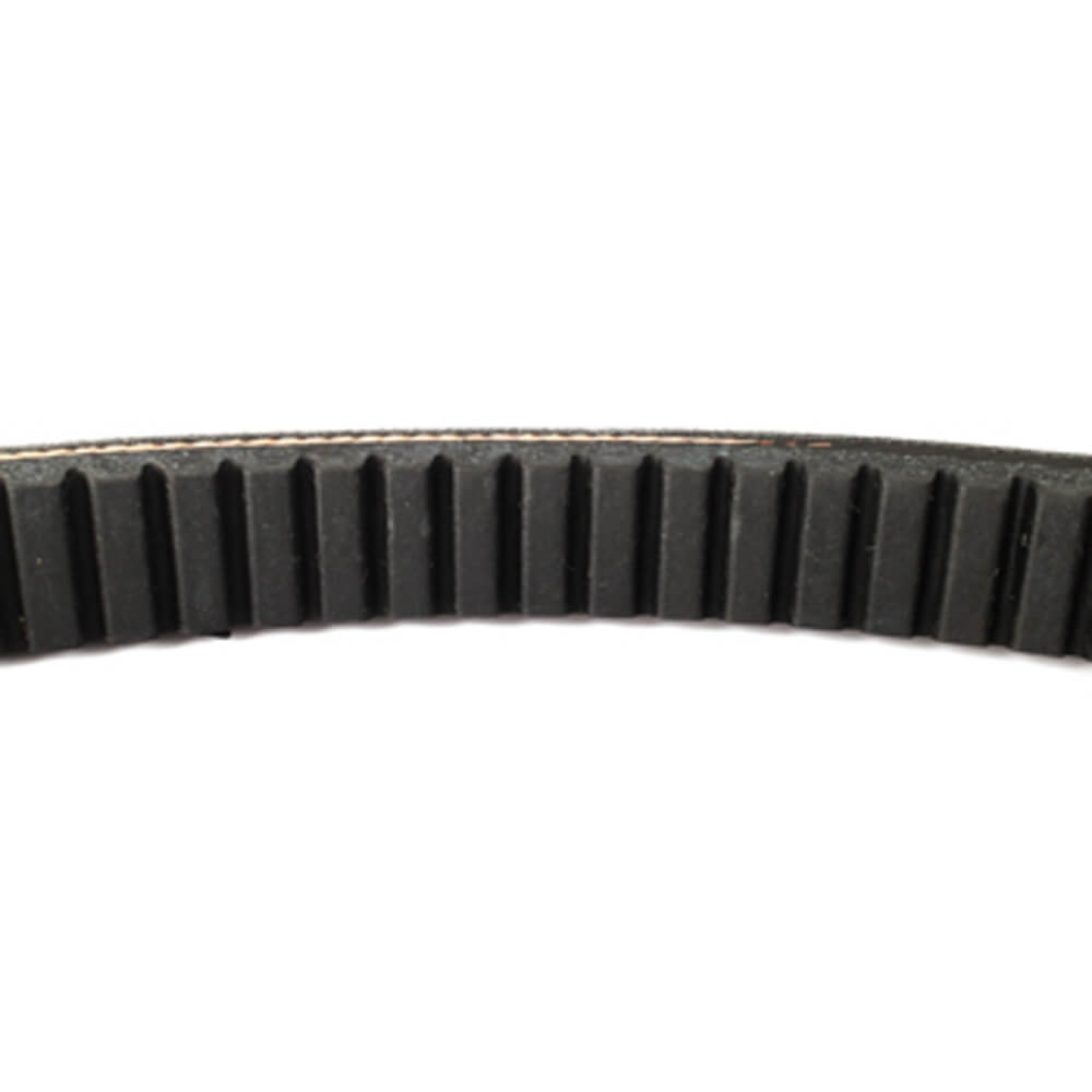 Buggies Unlimited - item 10975