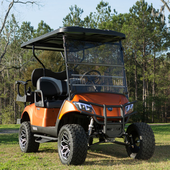 Buggies Unlimited - item 14-047