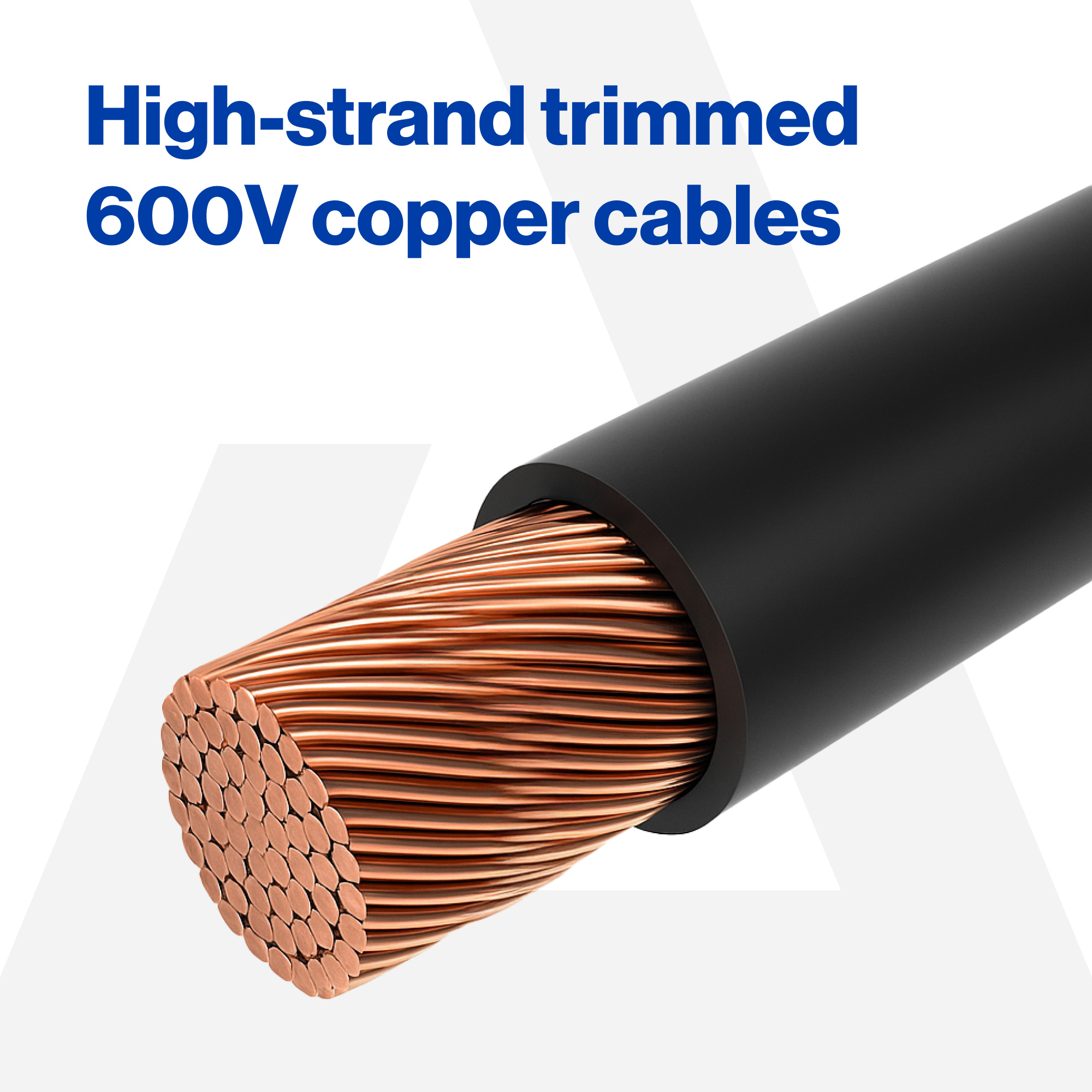 Buggies Unlimited - item 17-324