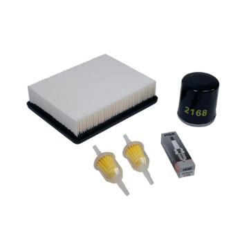 Buggies Unlimited - item 17570