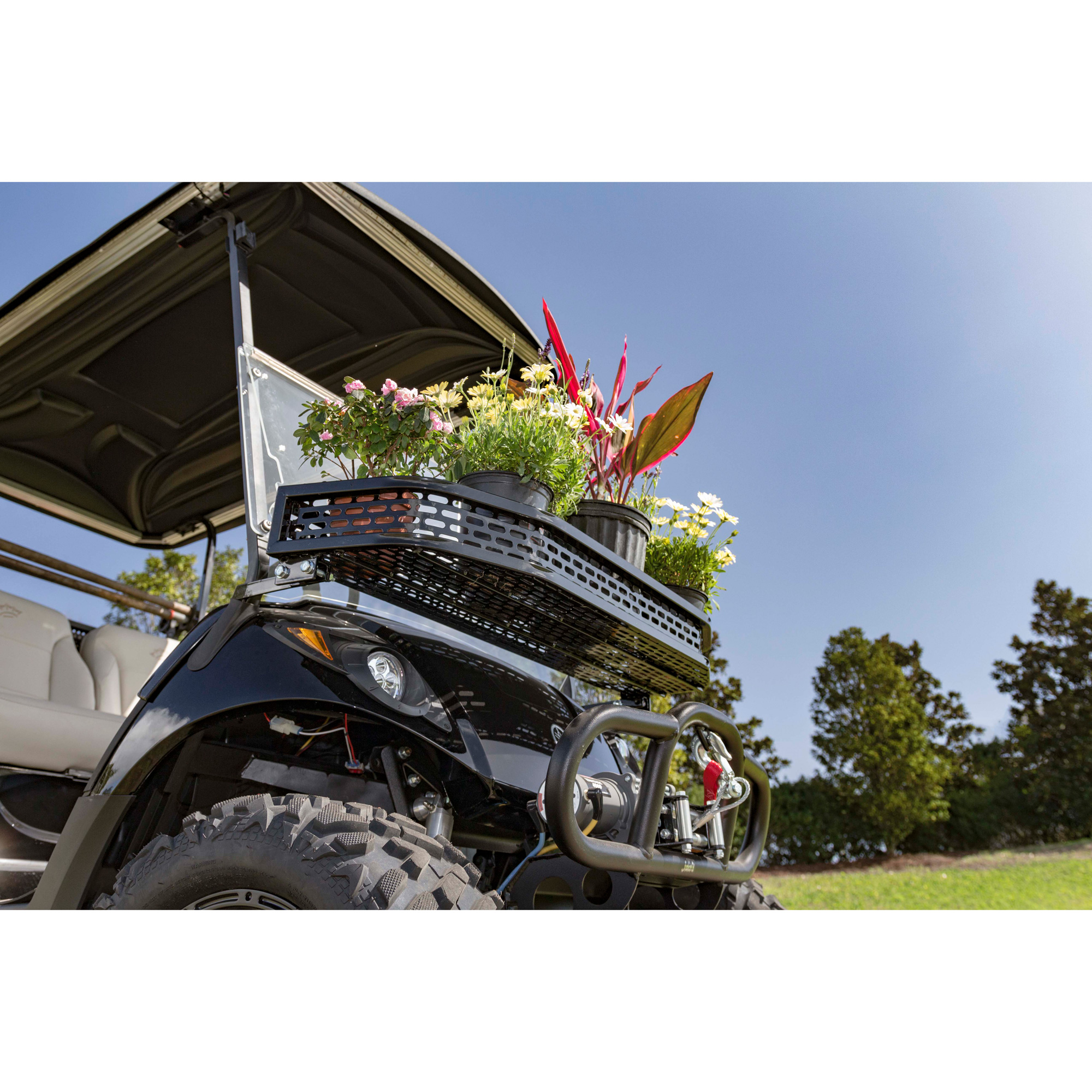 Buggies Unlimited - item PFX4014